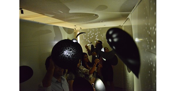 GRADUATE PROGRAM 30